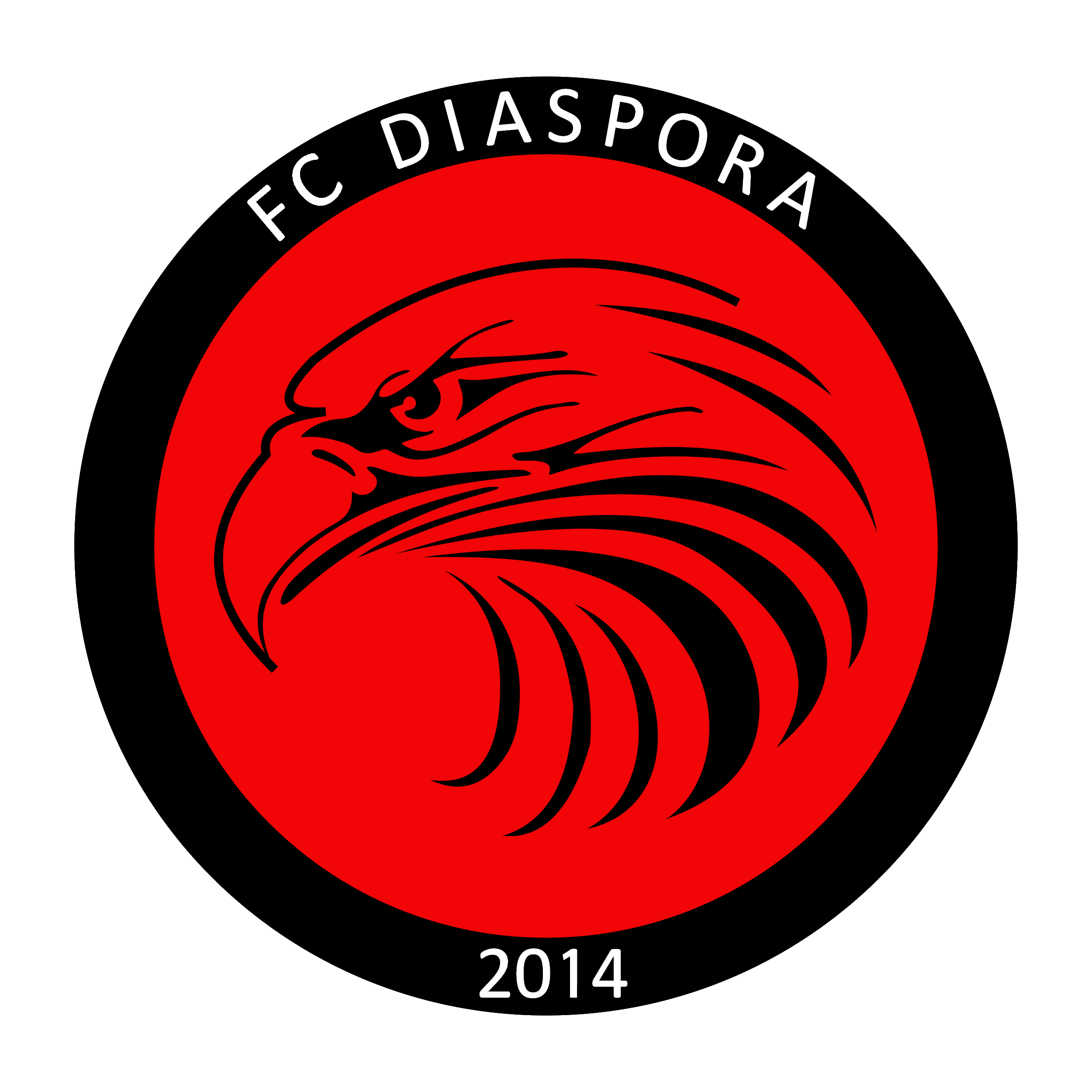 FC Diaspora 2014